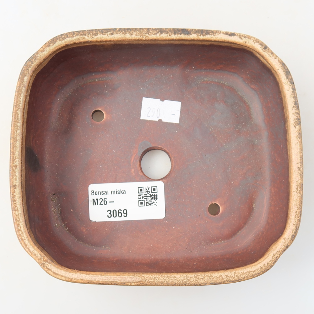 Vaso da bonsai in ceramica 13,5 x 12 x 4 cm, colore beige