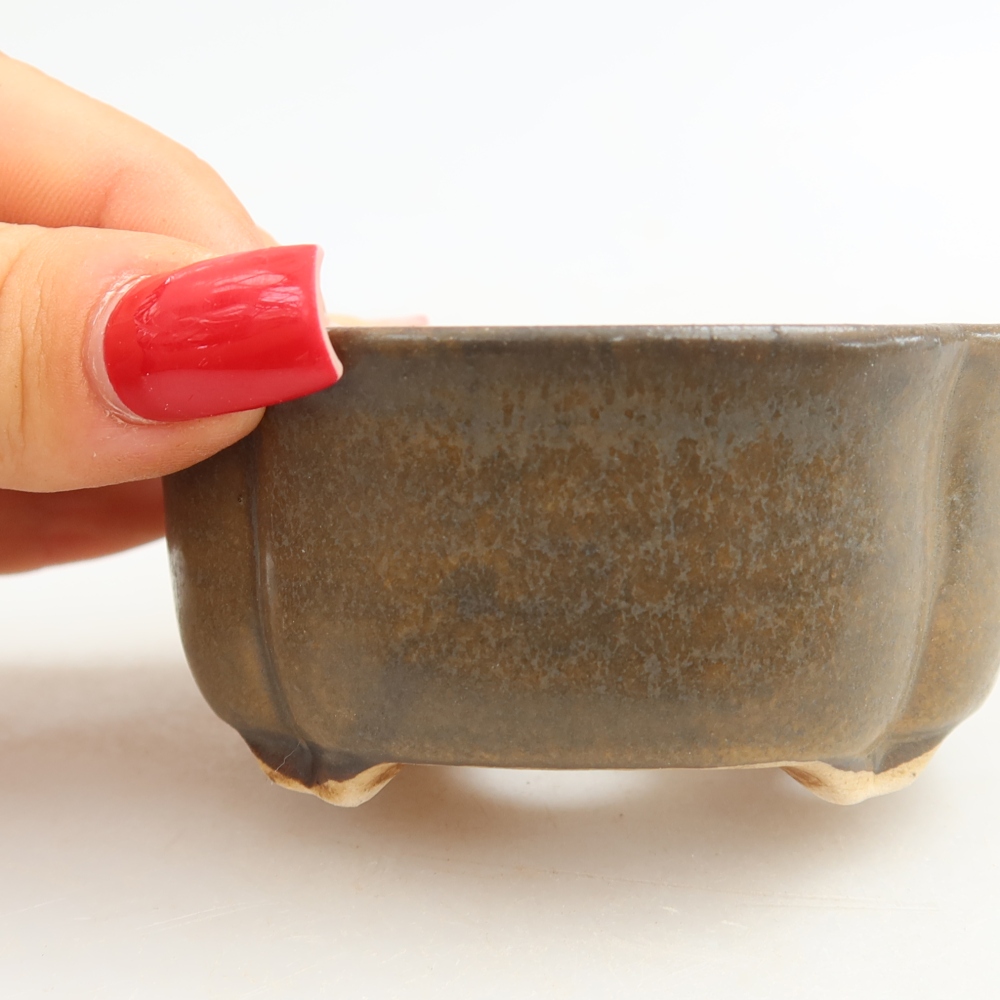 Ciotola per bonsai in ceramica 8 x 7,5 x 3,5 cm, marrone