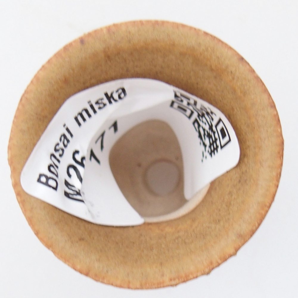 Mini bonsai 3 x 3 x 3,5 cm, marrone