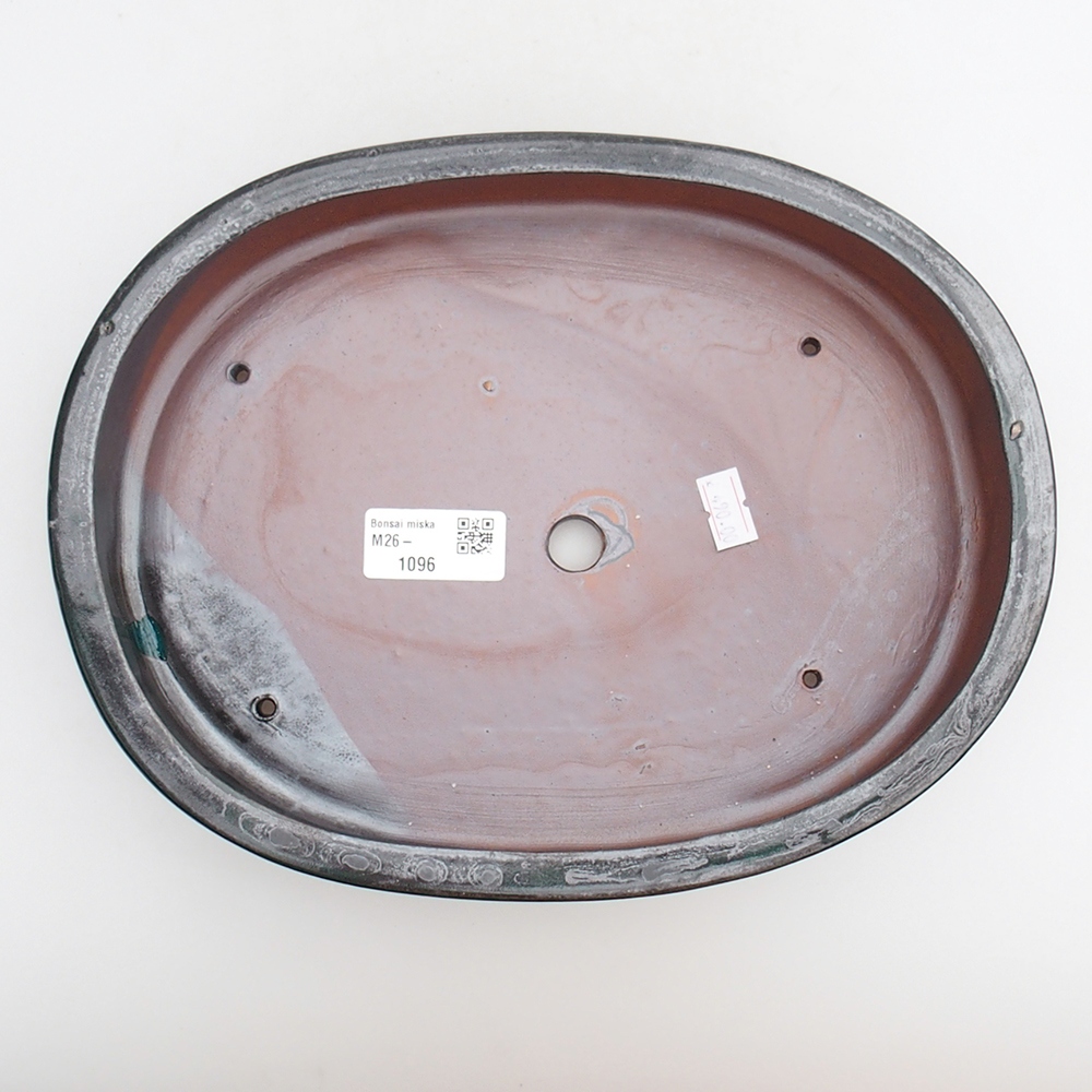 Ciotola bonsai in ceramica 26 x 20 x 5 cm, verde