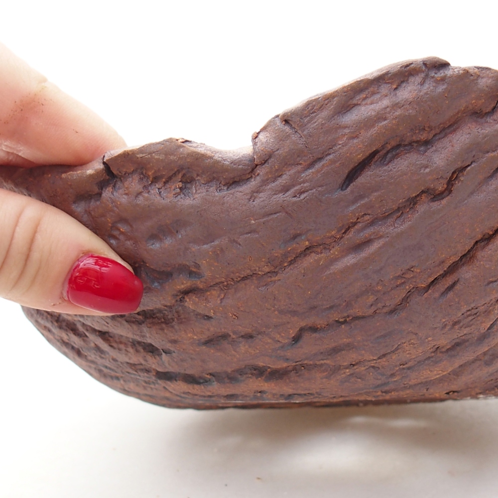 Conchiglia in ceramica 19 x 17 x 7 cm , colore marrone