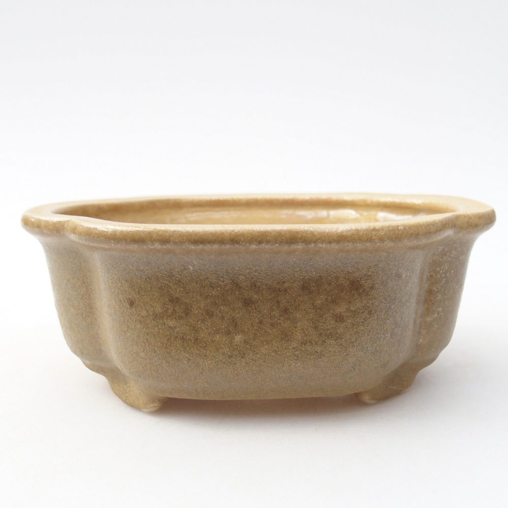 Ciotola bonsai in ceramica 13 x 10 x 5 cm, colore beige