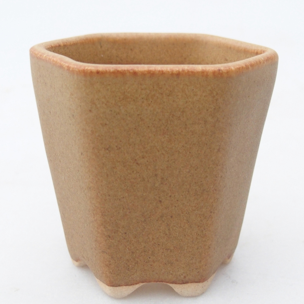 Ciotola per mini bonsai 5,5 x 5 x 5 cm, marrone