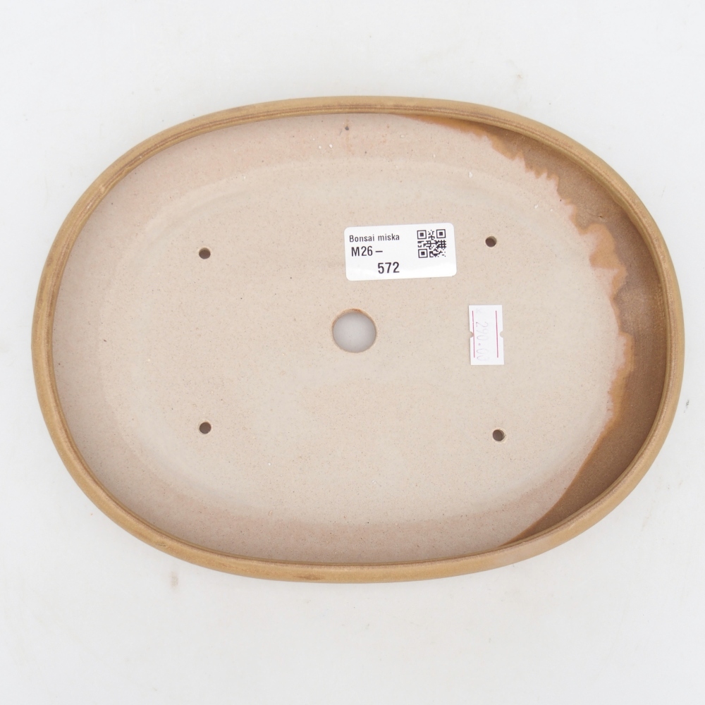 Ciotola bonsai in ceramica 22 x 17 x 3 cm, colore beige