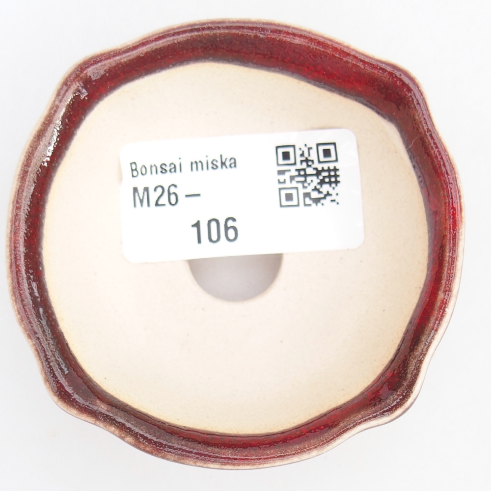 Mini bonsai 6,5 x 6,5 x 3 cm, colore rosso