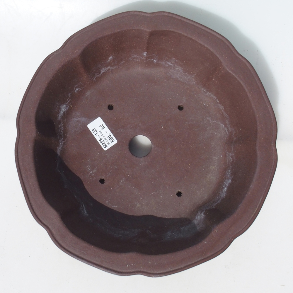 Ciotola per bonsai 30 x 30 x 9 cm betulla marrone