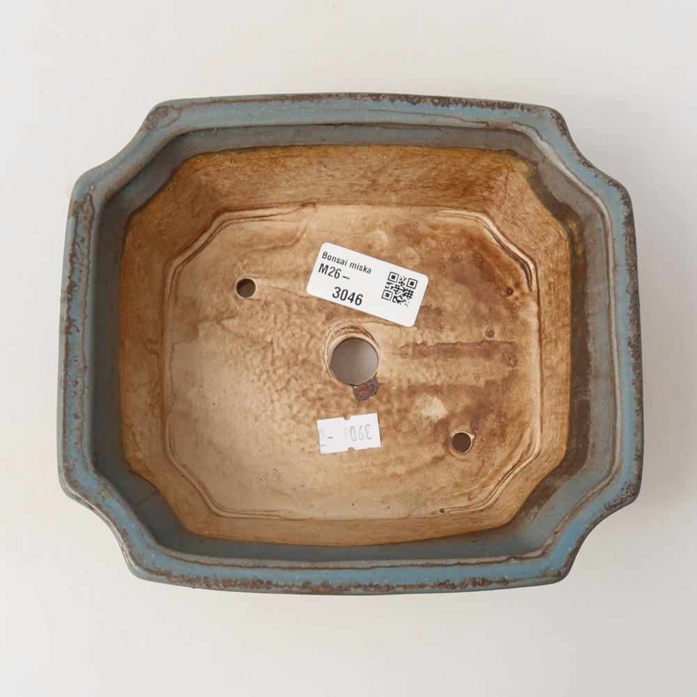 Vaso in ceramica per bonsai 18 x 15,5 x 6 cm, colore blu
