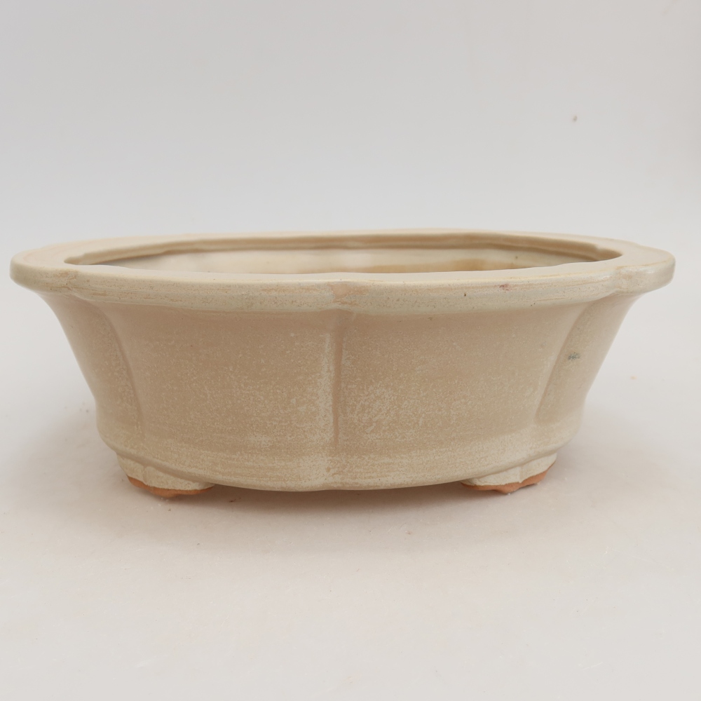 Ciotola bonsai in ceramica 26 x 26 x 8 cm, colore beige
