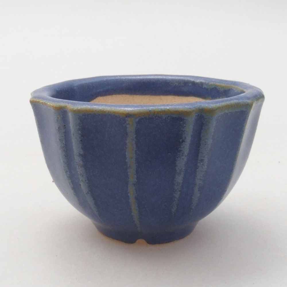 Ciotola per mini bonsai 5 x 5 x 3 cm, blu