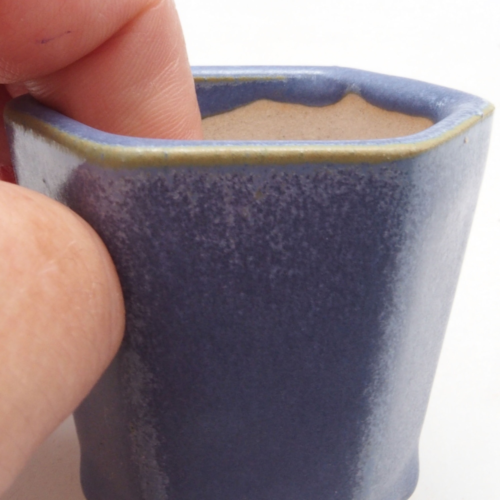 Ciotola per mini bonsai 5 x 4,5 x 5 cm, colore blu