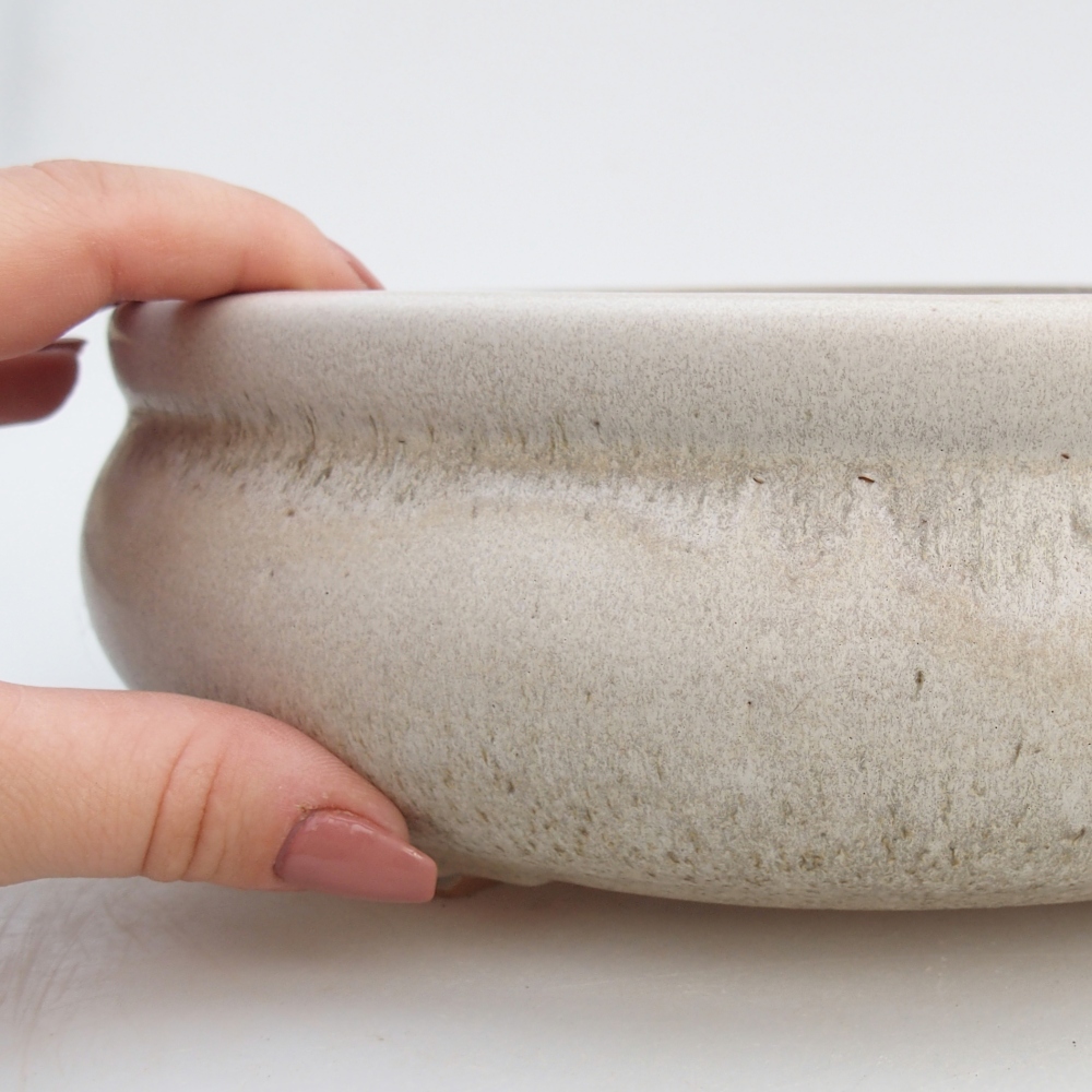 Ciotola bonsai in ceramica 23 x 23 x 8 cm, colore beige