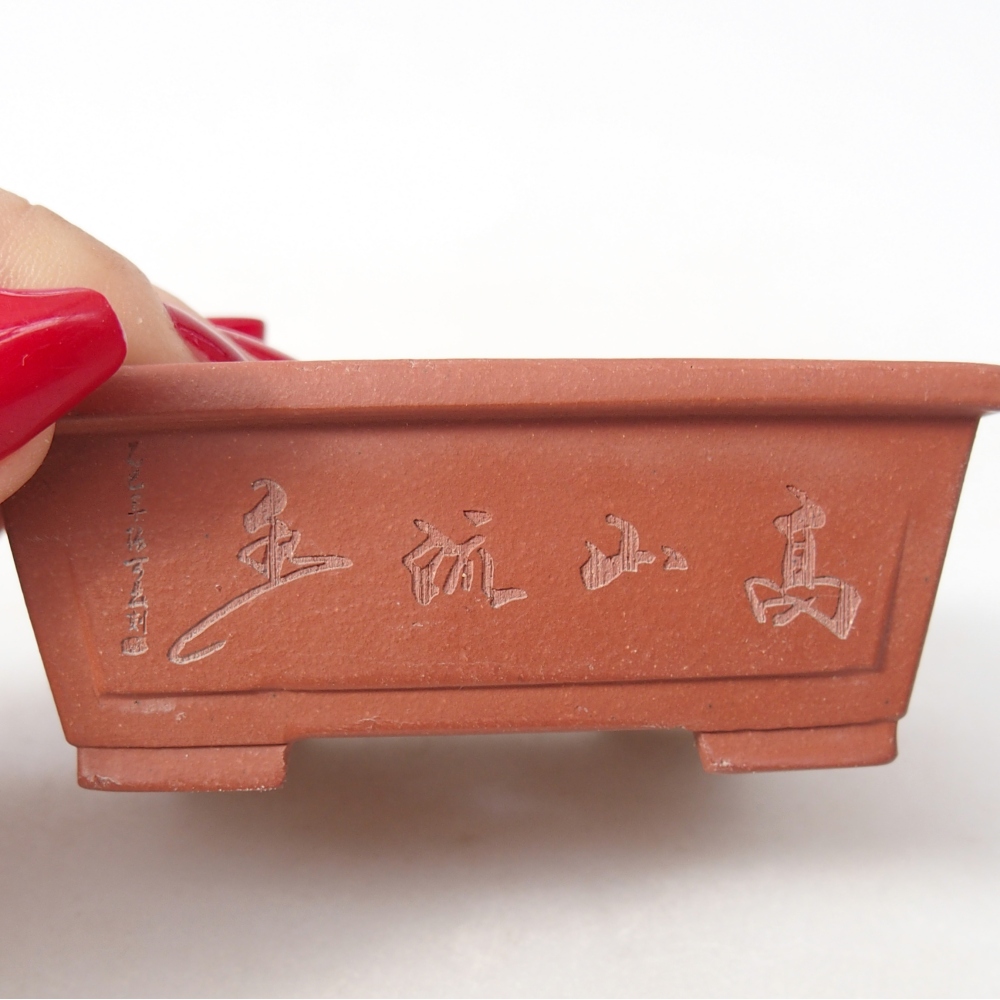 Mini bonsai 7,5 x 6,5 x 3 cm, colore mattone