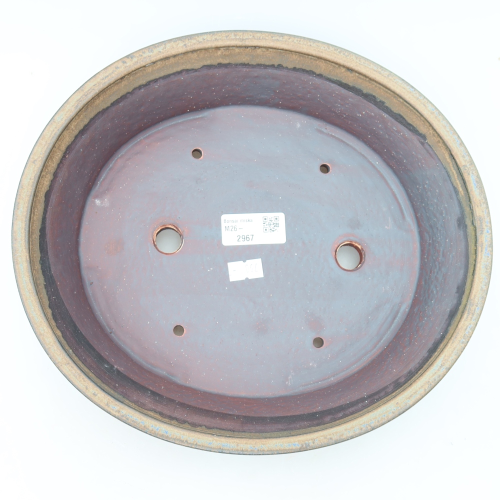 Vaso in ceramica per bonsai 27 x 24,5 x 6 cm, colore marrone
