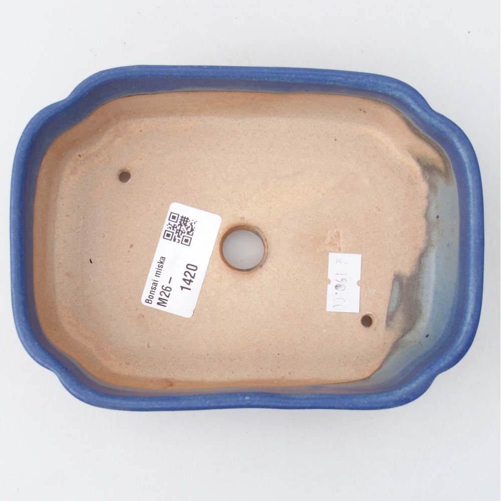 Ciotola bonsai in ceramica 16 x 11,5 x 4 cm, colore blu