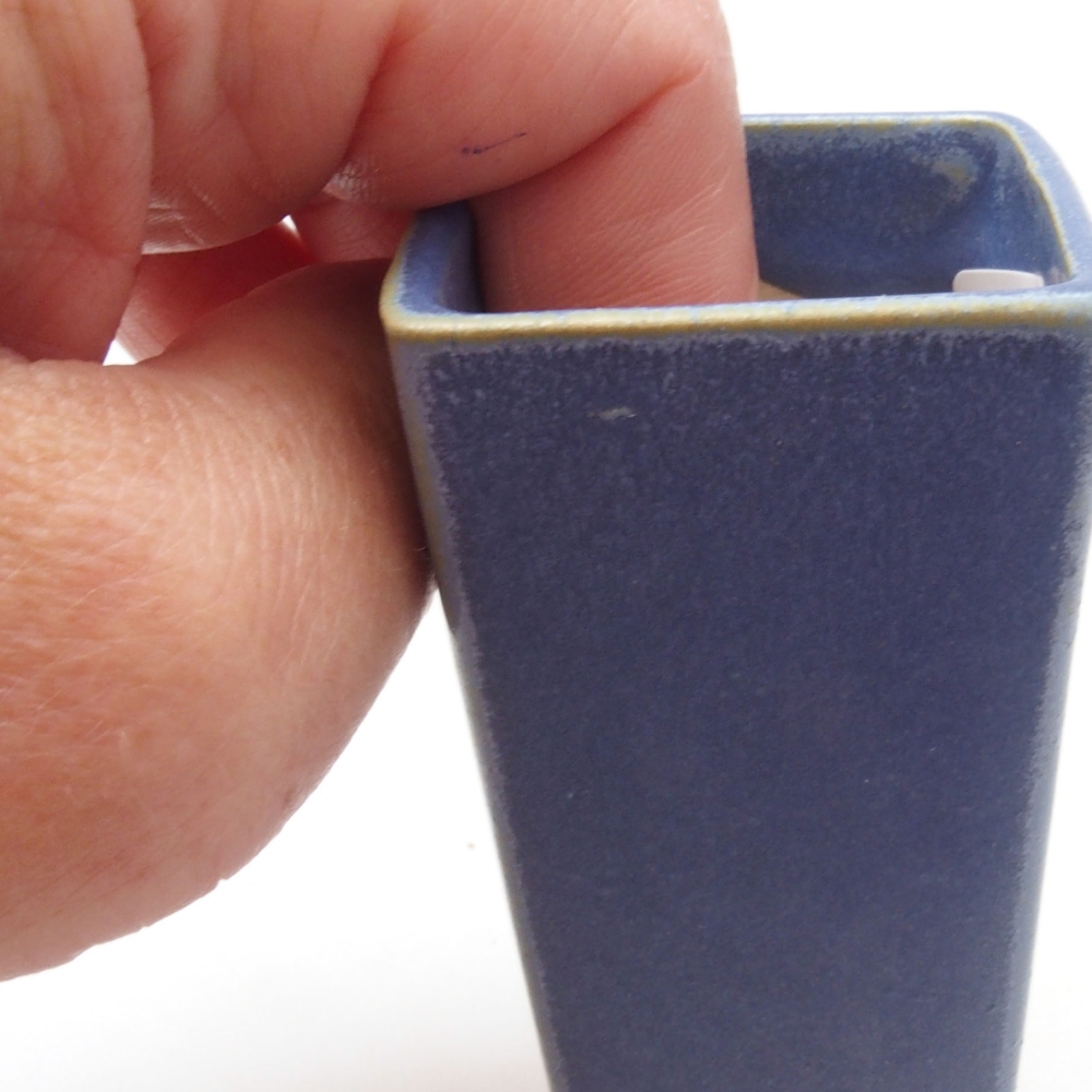 Mini bonsai 4 x 4 x 8,5 cm, colore blu