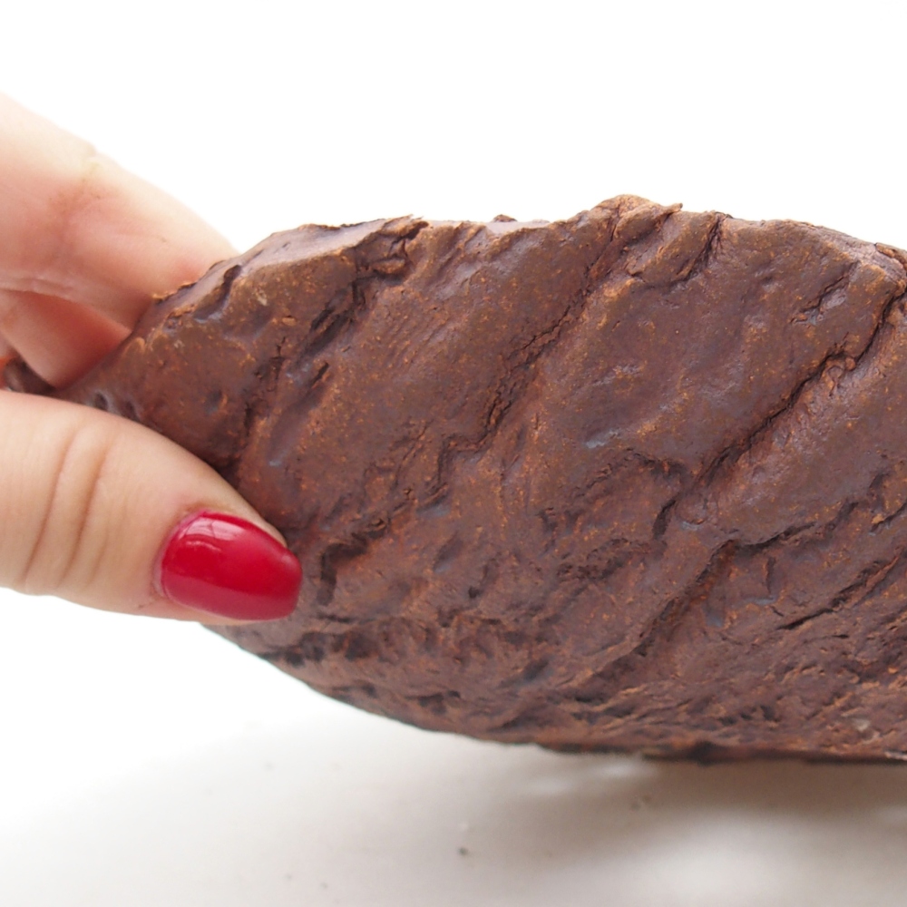 Conchiglia in ceramica 19 x 17 x 5 cm , colore marrone