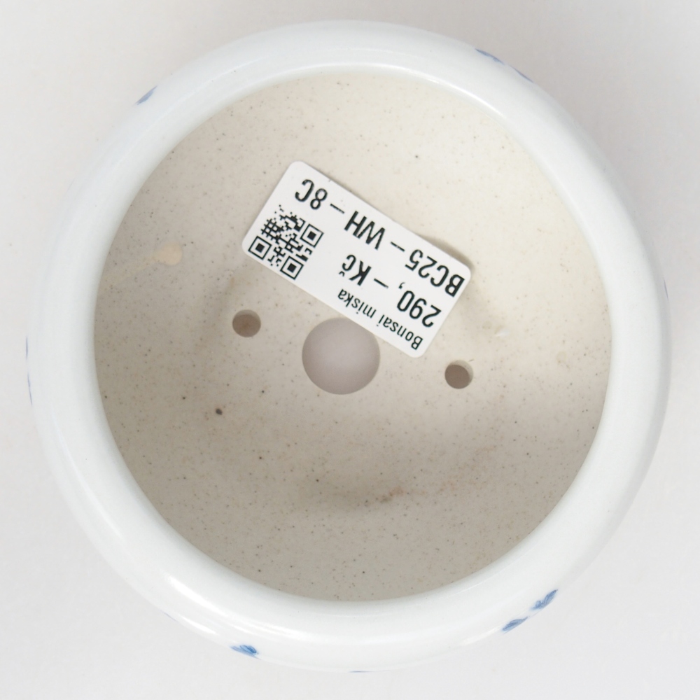 Ciotola per bonsai in ceramica 10 x 10 x 5 cm, colore bianco