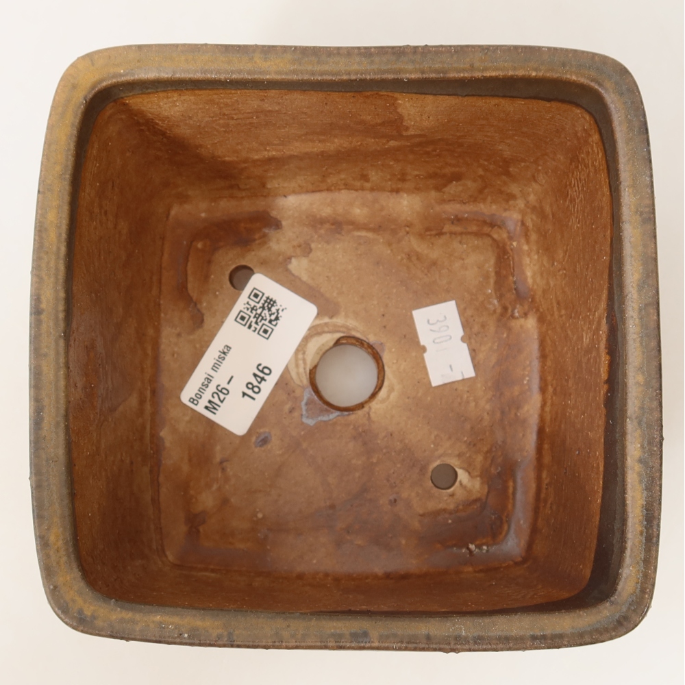 Ciotola bonsai in ceramica 13 x 13 x 8 cm, marrone