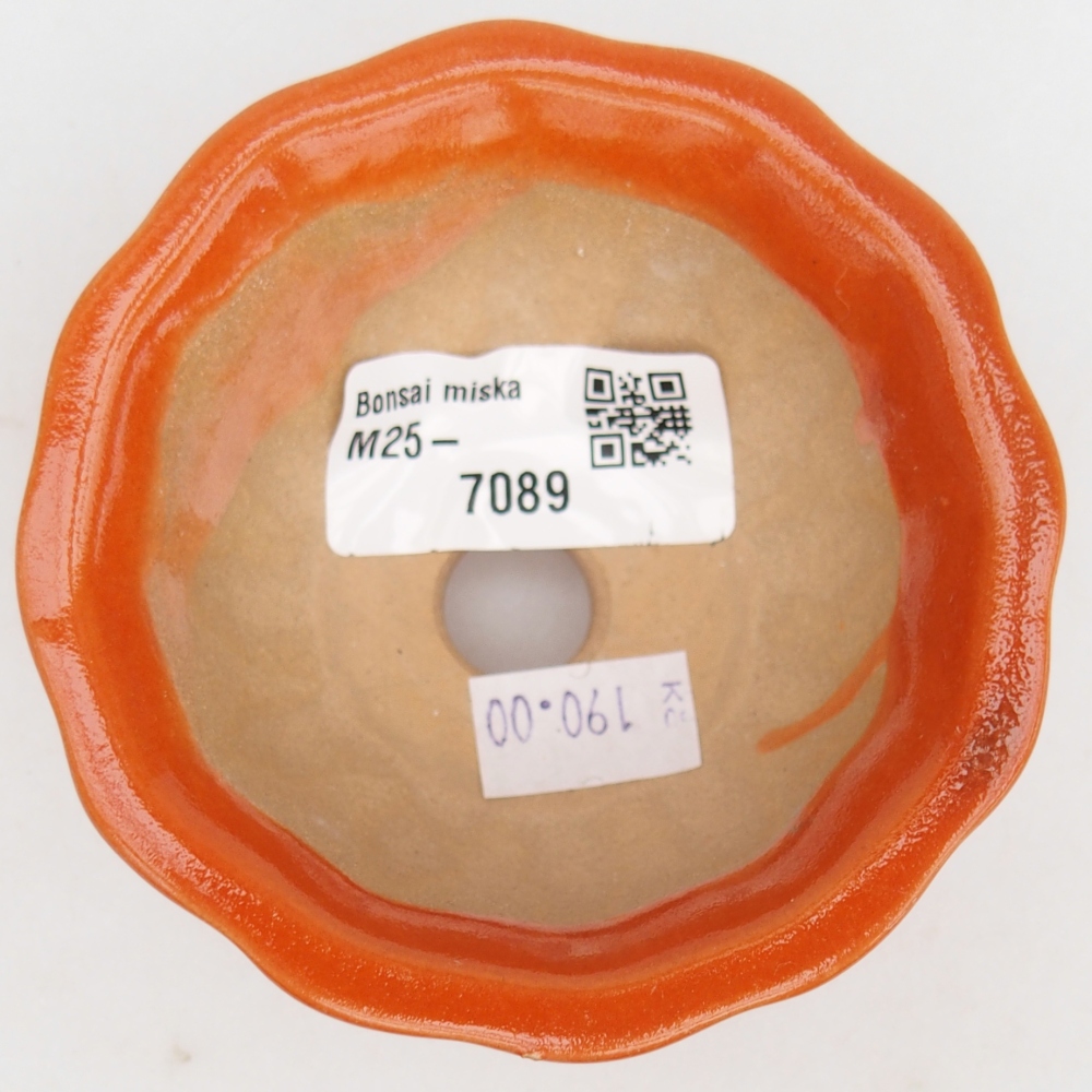 Ciotola bonsai in ceramica 26 x 26 x 8 cm, colore rosso