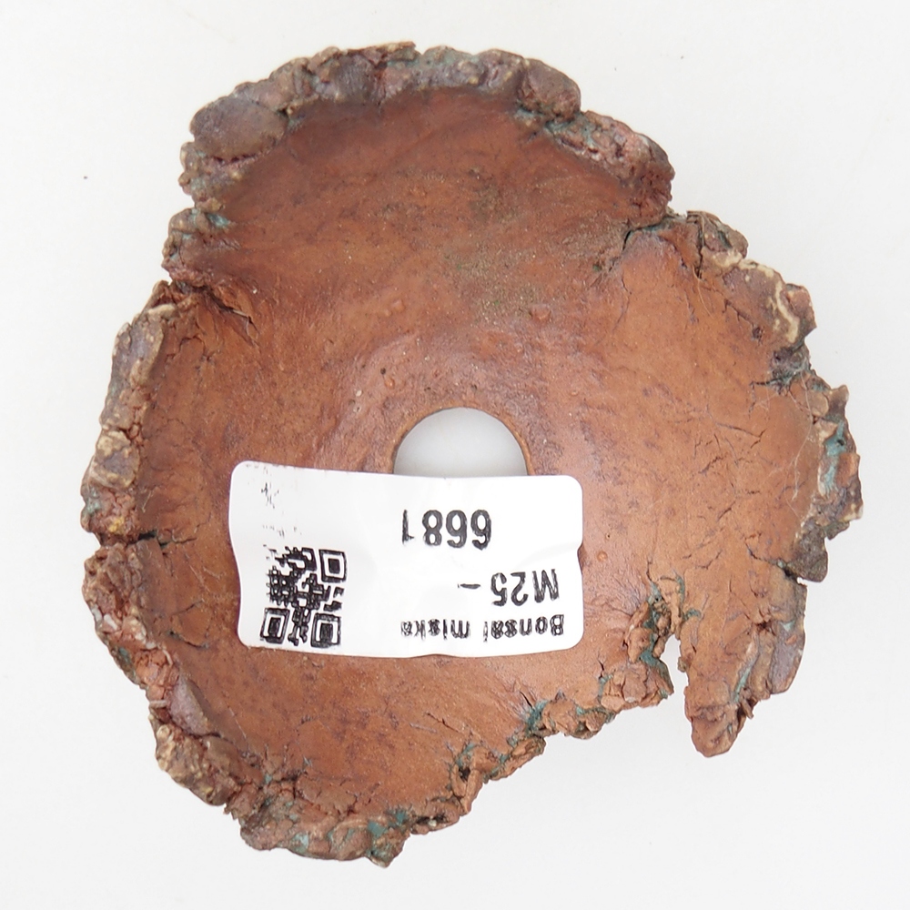 Conchiglia in ceramica 7,5 x 7 x 4 cm , colore verde