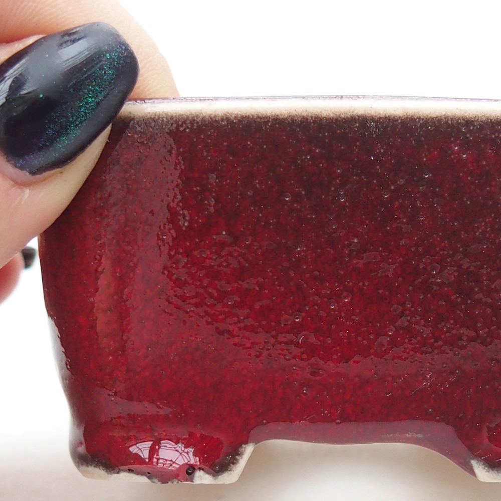 Mini bonsai 7 x 7 x 4 cm, colore rosso