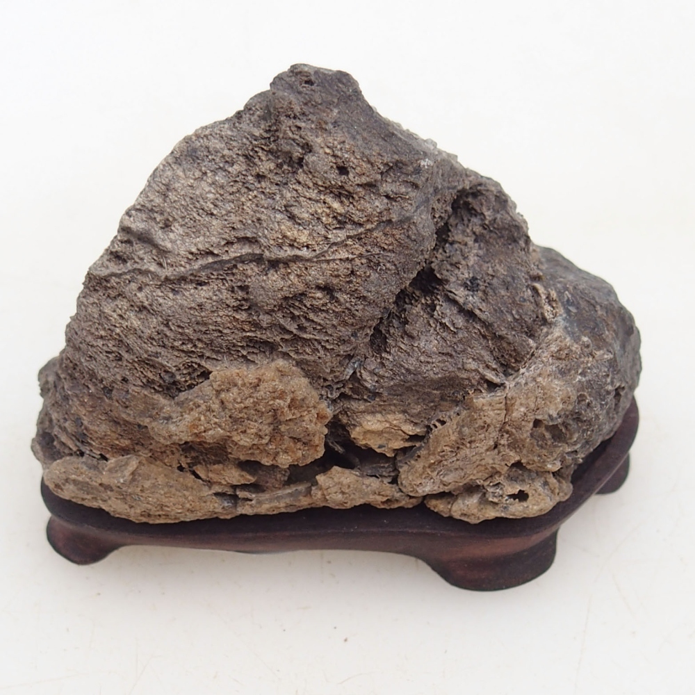 Suiseki - Pietra con DAI (base in legno)