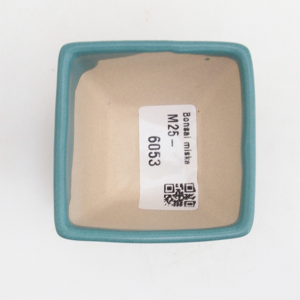 Ciotola bonsai in ceramica 6,5 x 5,5 x 4 cm, colore blu