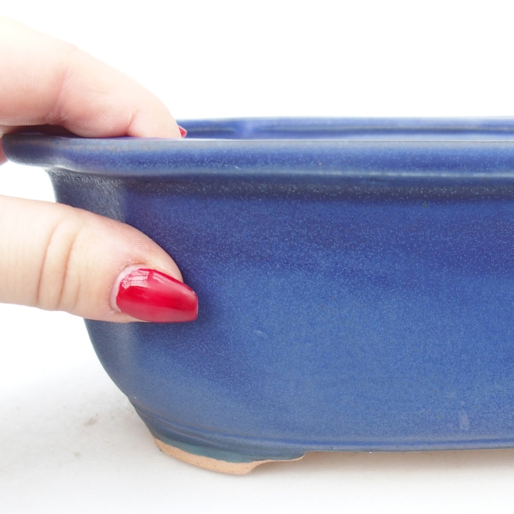 Ciotola bonsai in ceramica 22 x 18 x 7,5 cm, colore blu