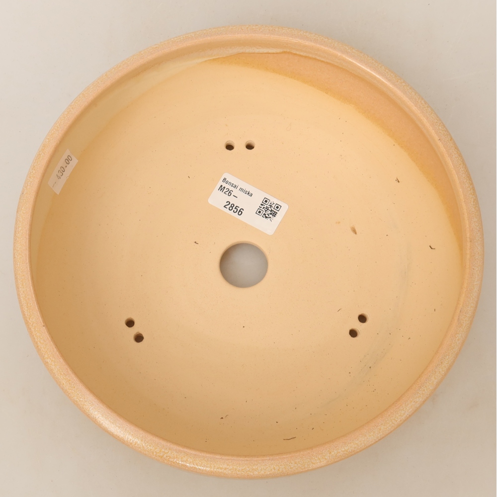 Vaso da bonsai in ceramica 22,5 x 22,5 x 6,5 cm, colore beige
