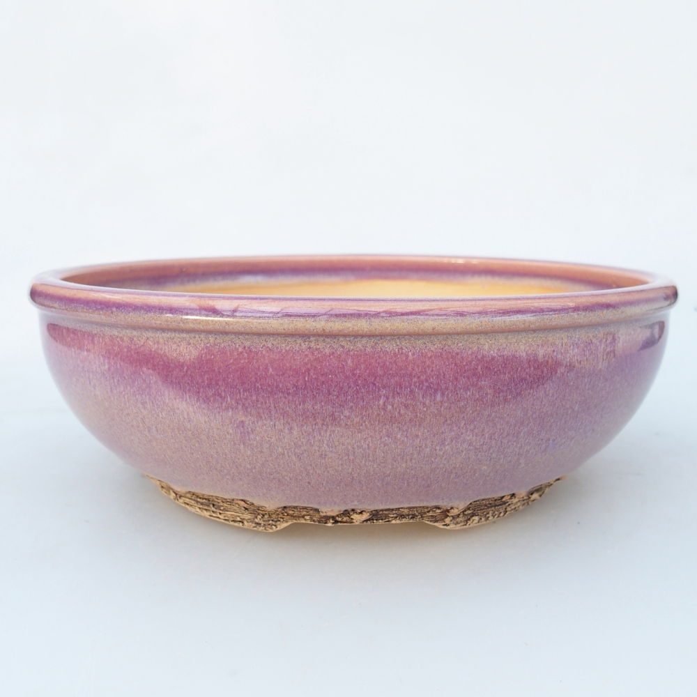 Ciotola per bonsai in ceramica 20,5 x 20,5 x 6,5 cm, colore viola
