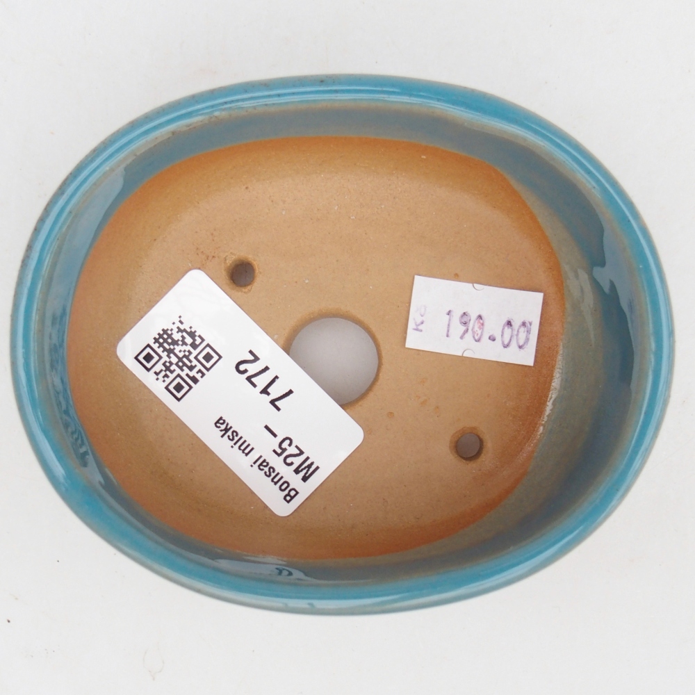 Ciotola bonsai in ceramica 26 x 26 x 8 cm, colore rosso