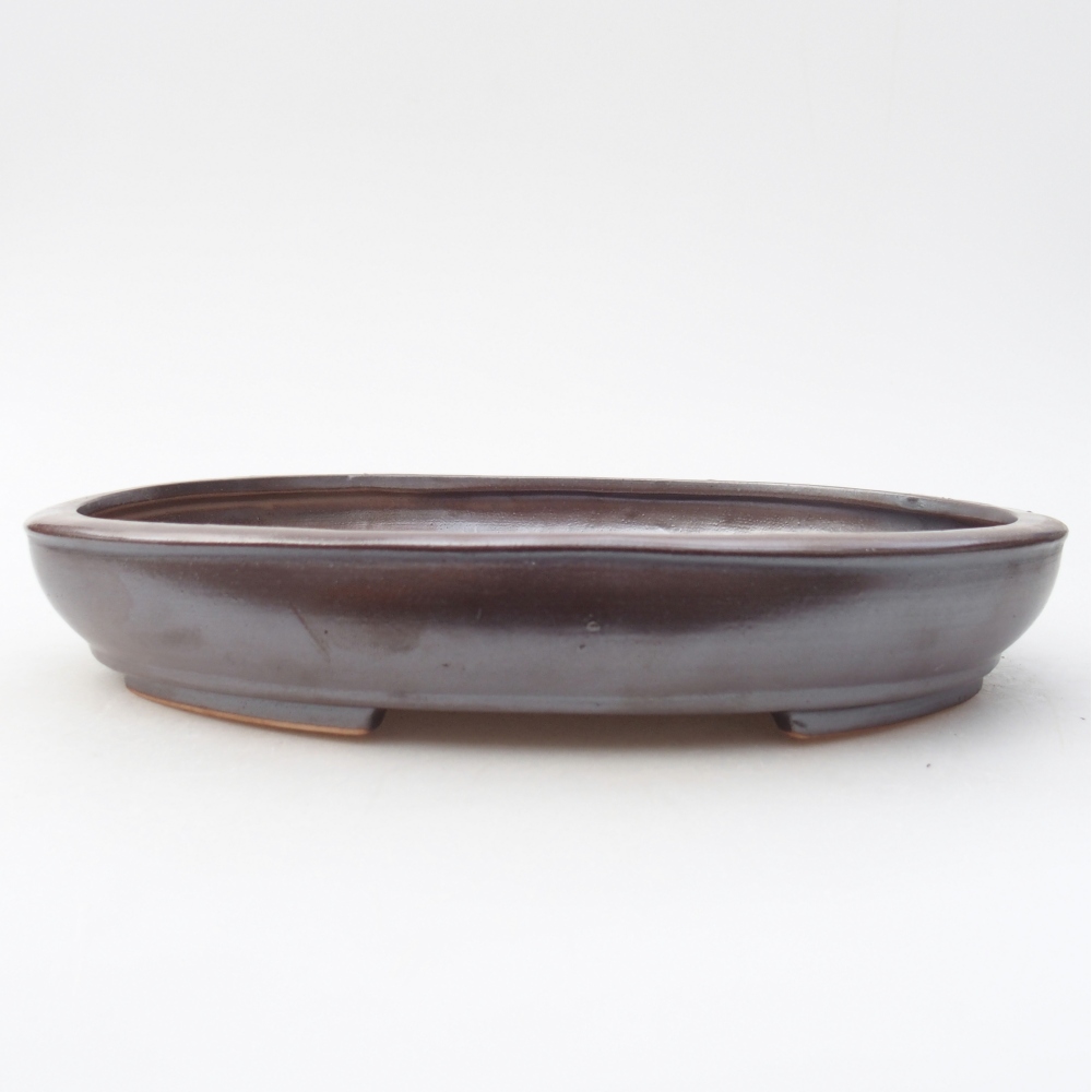 Ciotola per bonsai in ceramica 25 x 20 x 4 cm, marrone