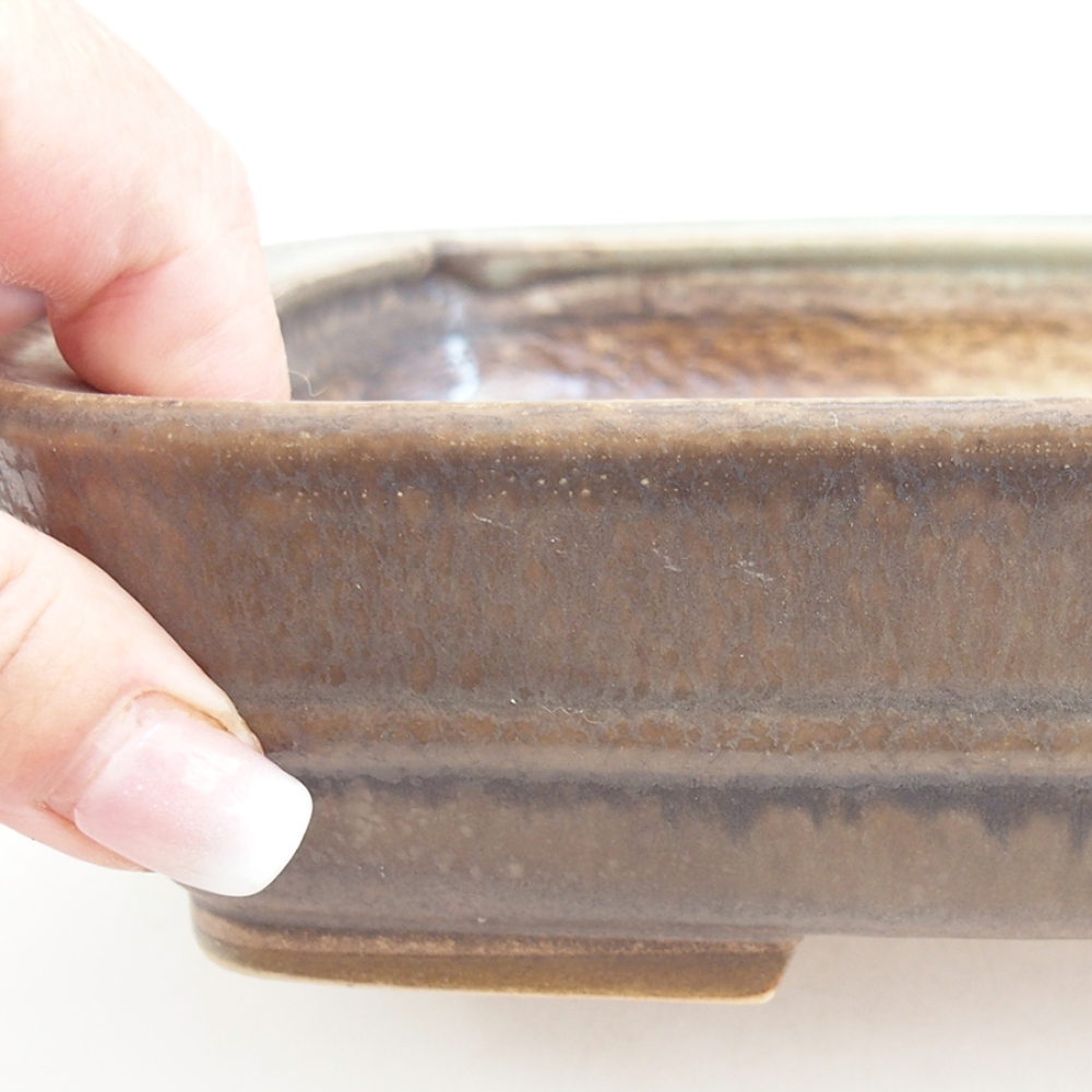 Ciotola per bonsai in ceramica 21,5 x 17,5 x 5,5 cm, marrone
