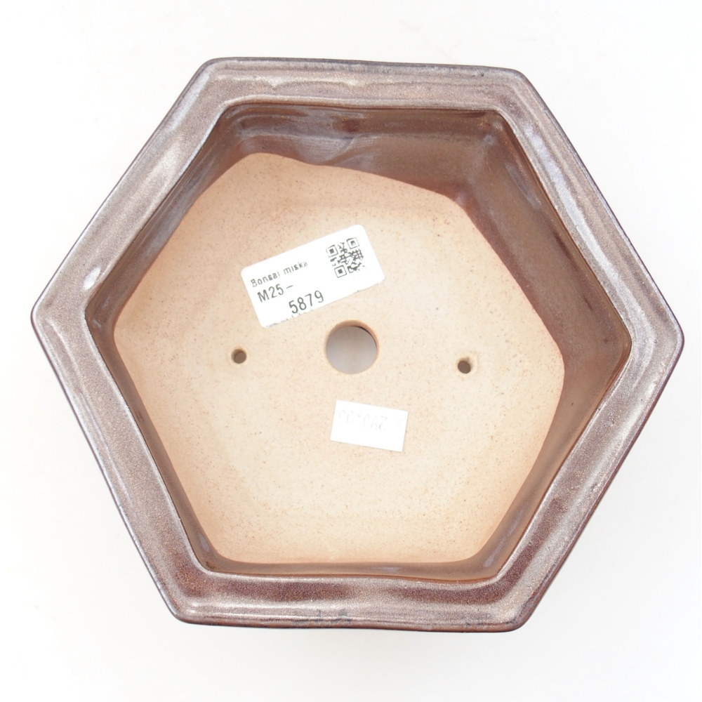 Ciotola bonsai in ceramica 22 x 17 x 5 cm, verde