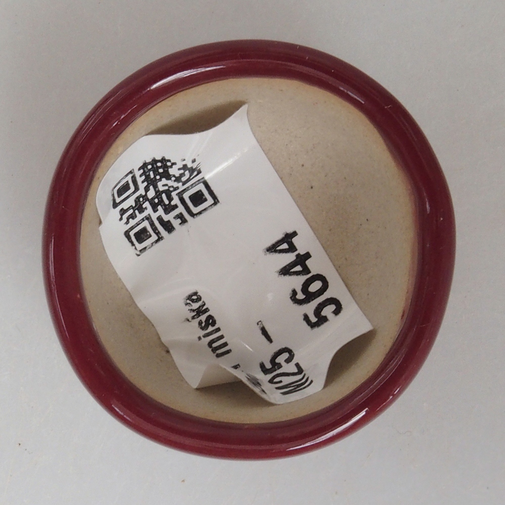 Mini bonsai 3,5 x 3,5 x 2 cm, bordeaux