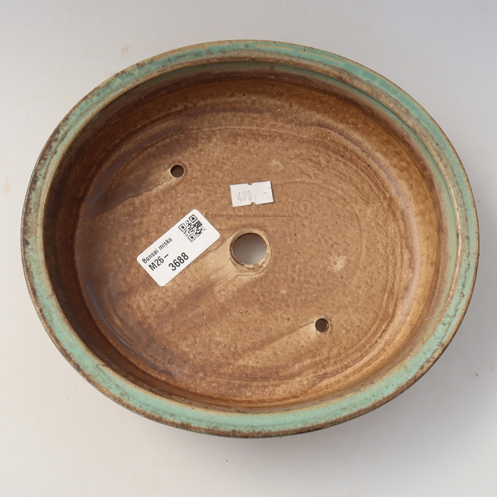 Ciotola bonsai in ceramica 21 x 19 x 5 cm, verde