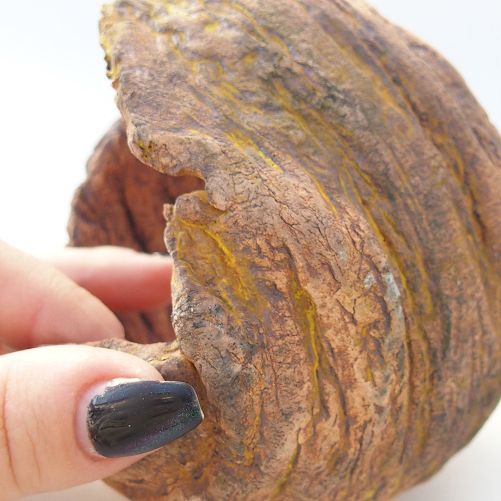 Conchiglia in ceramica 10 x 9 x 12 cm , giallo