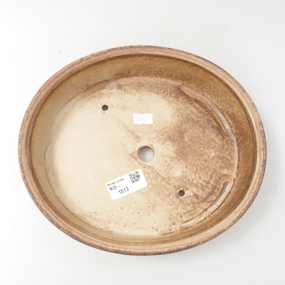 Ciotola bonsai in ceramica 24 x 21 x 5 cm, colore beige