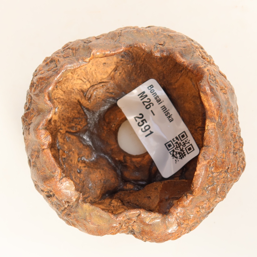 Guscio in ceramica  7 x 7 x 5,5 cm, colore marrone