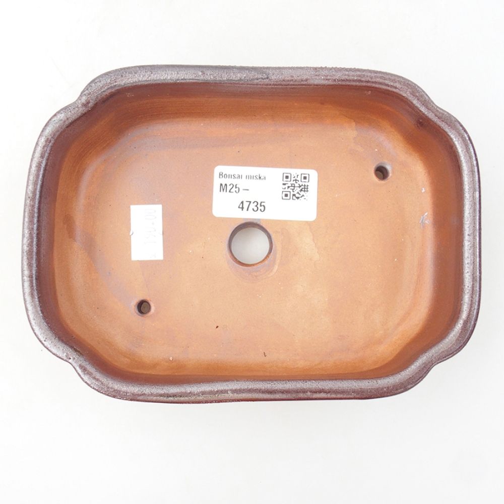 Ciotola per bonsai in ceramica 15 x 11,5 x 4,5 cm, marrone