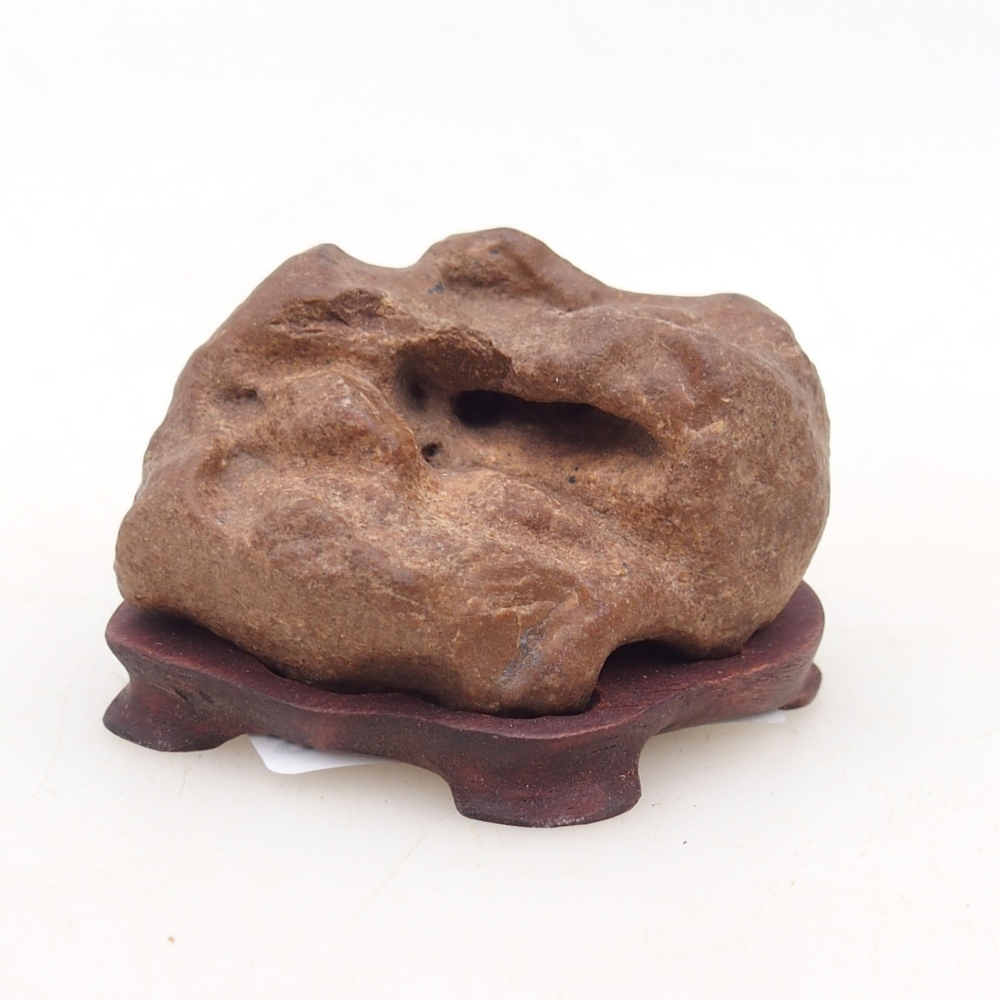 Suiseki - Pietra con DAI (base in legno)