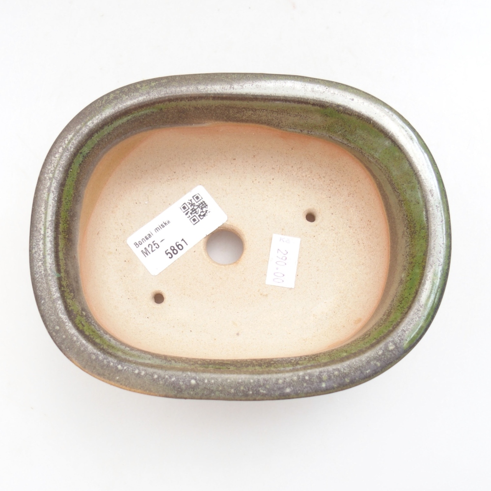 Ciotola bonsai in ceramica 22 x 17 x 5 cm, verde