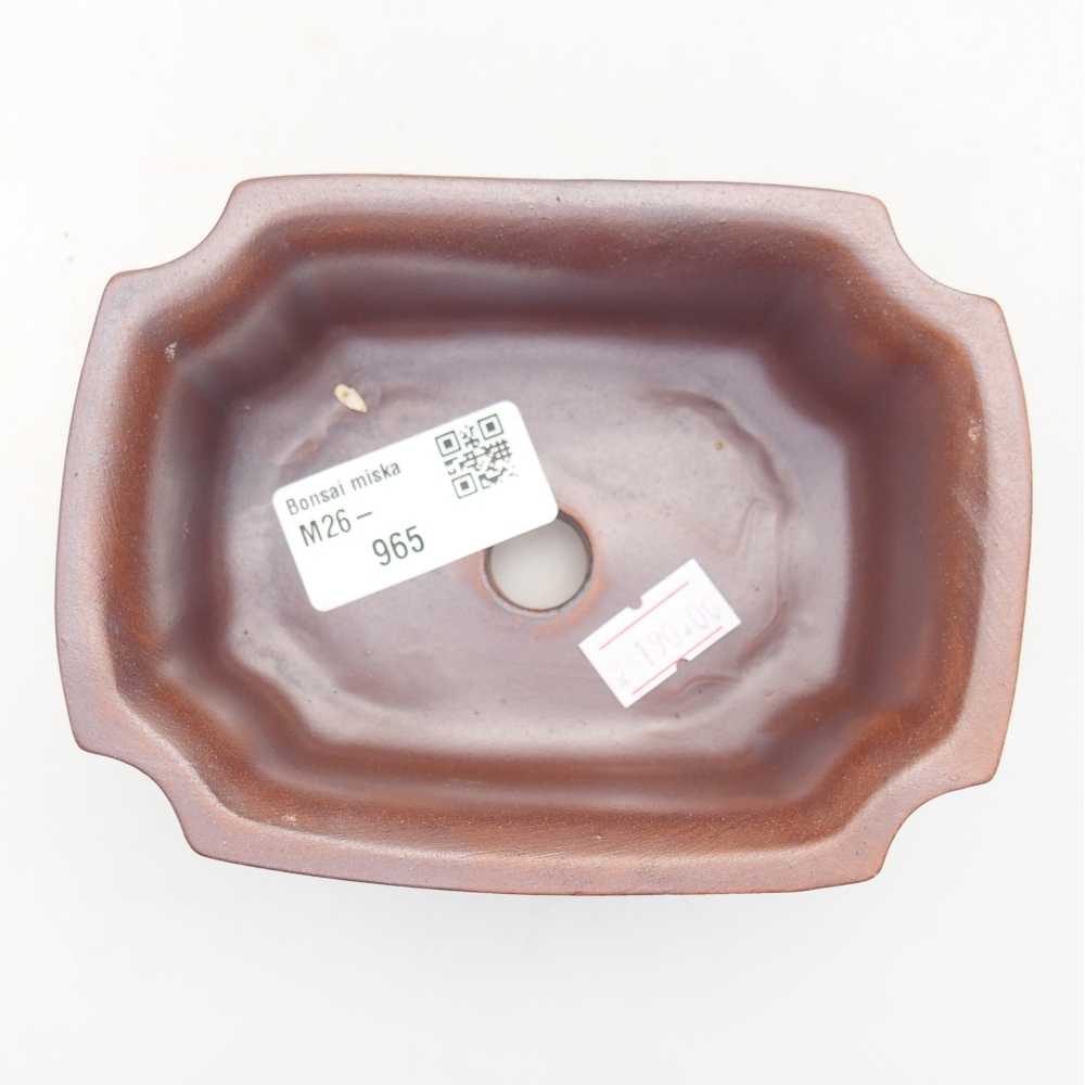 Ciotola bonsai in ceramica 12 x 9 x 5 cm, colore metallo