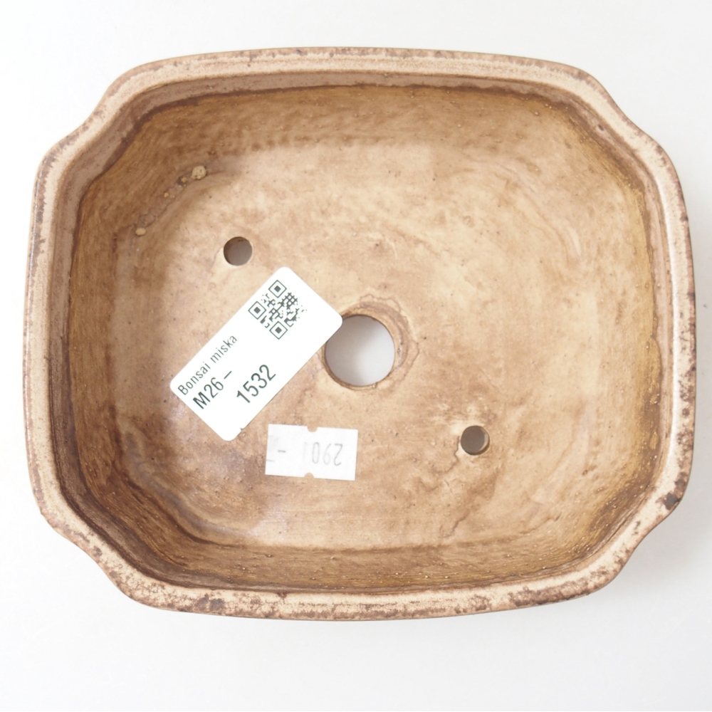 Ciotola per bonsai in ceramica 14 x 12 x 4,5 cm, colore beige
