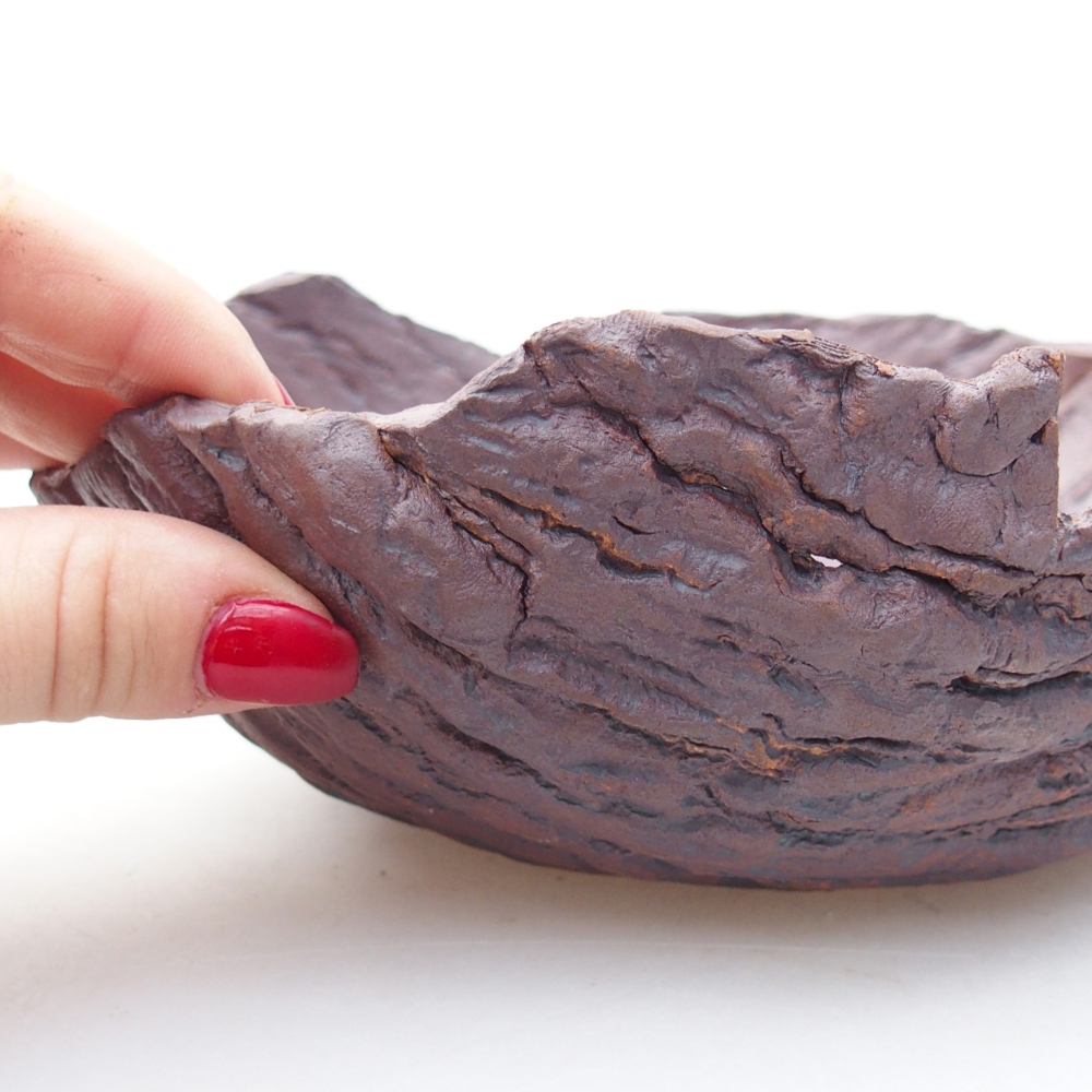 Conchiglia in ceramica 19 x 17 x 7 cm , colore marrone