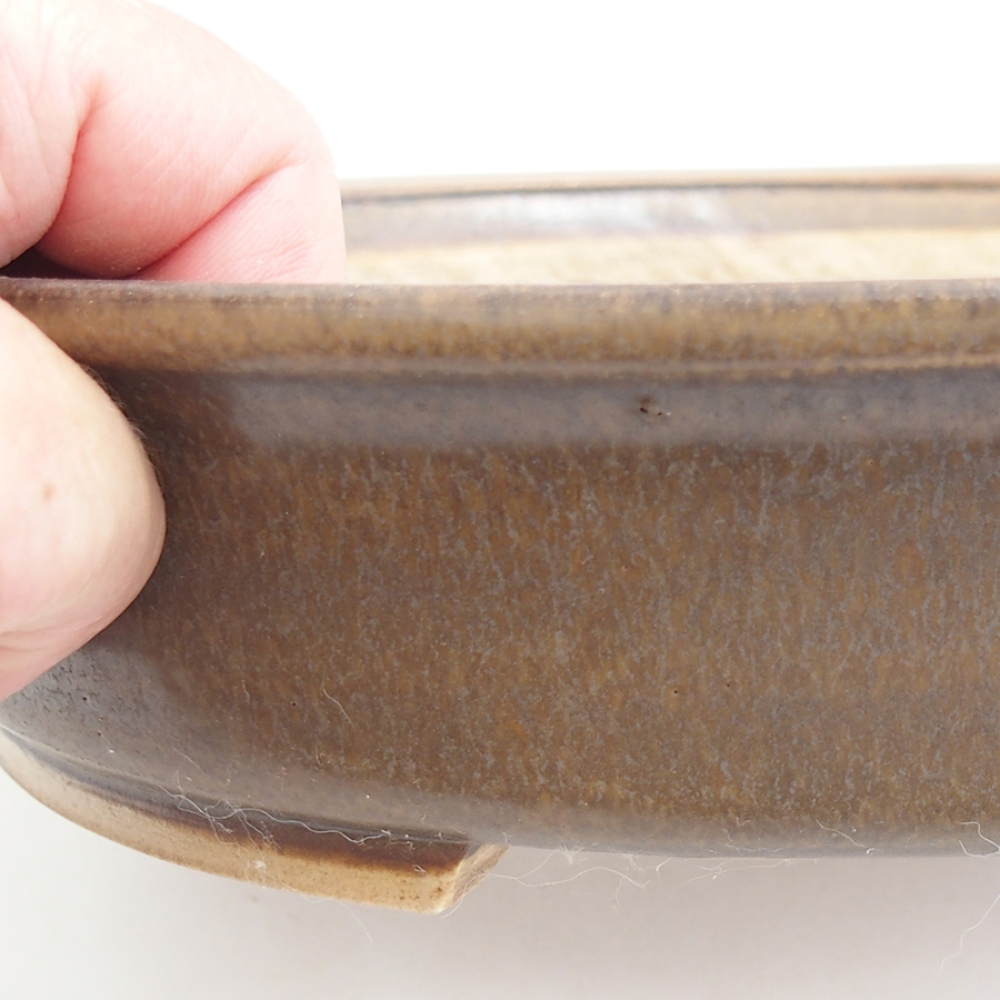Ciotola bonsai in ceramica 25,5 x 23 x 5,5 cm, marrone