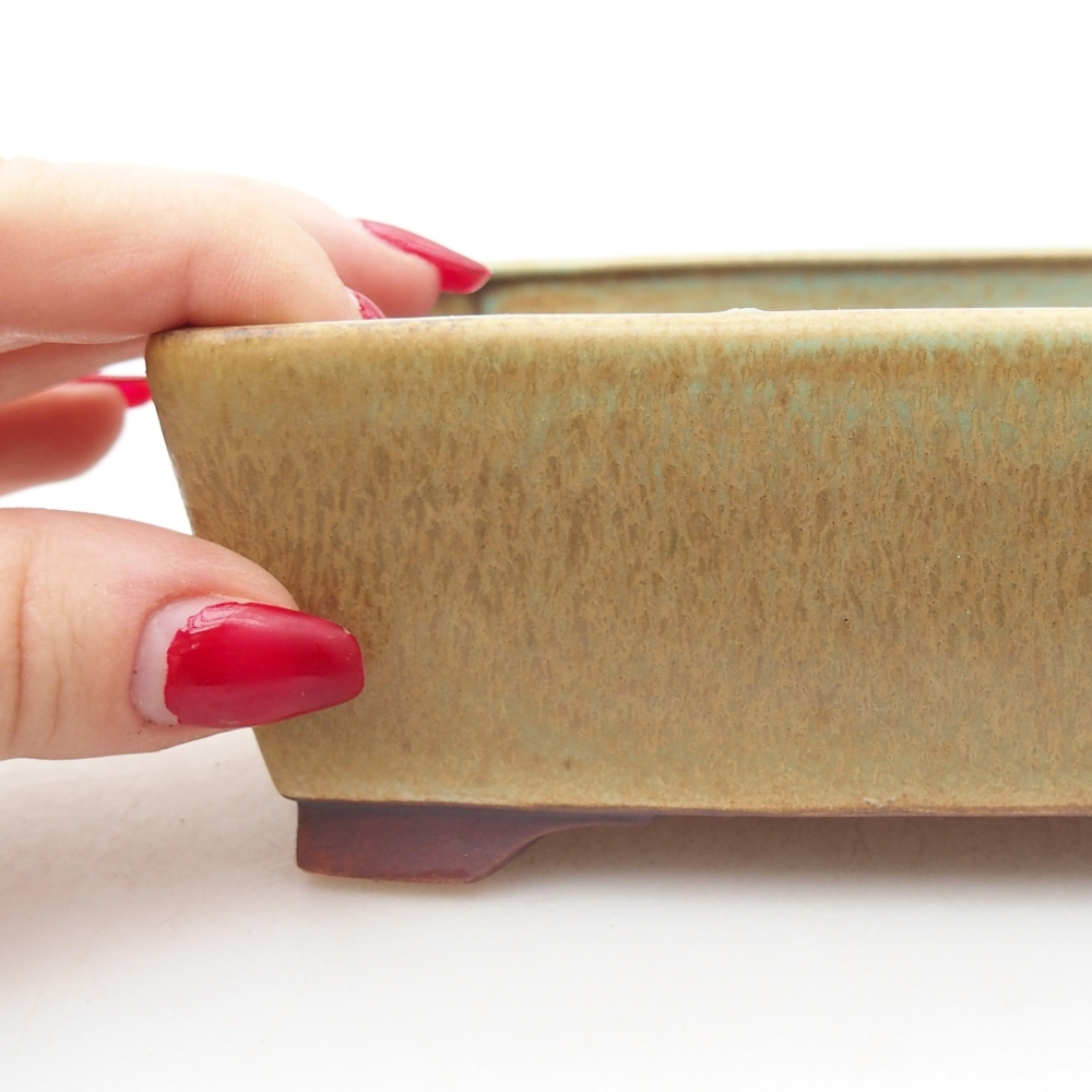 Ciotola per bonsai in ceramica 15 x 12 x 5 cm, verde