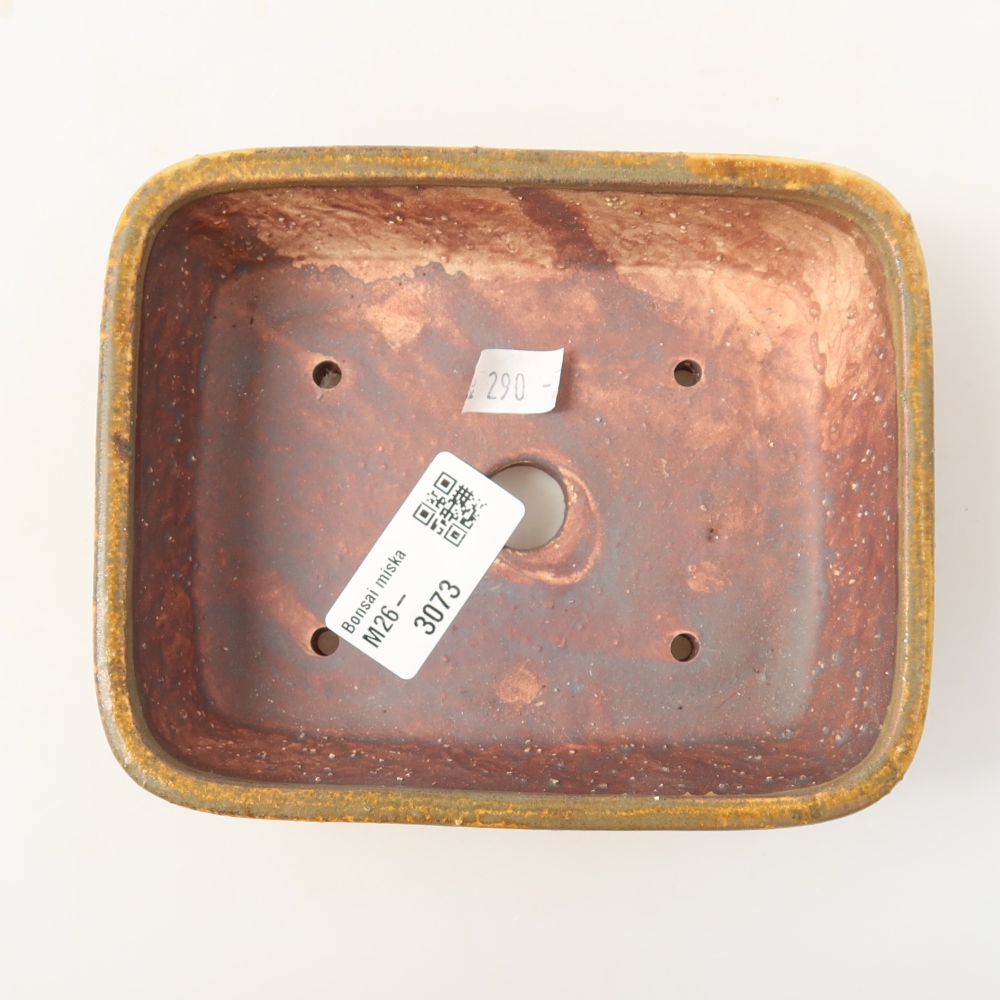 Ciotola per bonsai in ceramica 14 x 11,5 x 4,5 cm, marrone