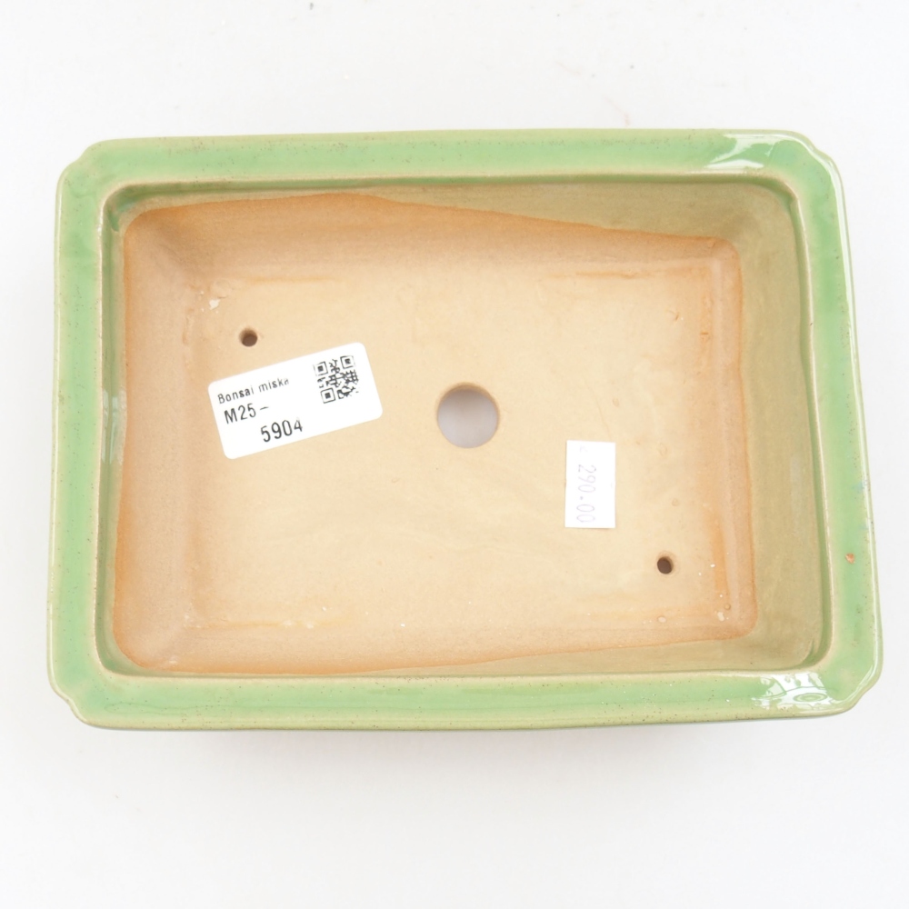 Ciotola bonsai in ceramica 22 x 17 x 5 cm, verde