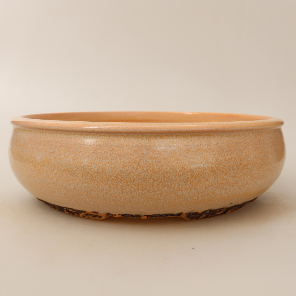Ciotola bonsai in ceramica 24 x 24 x 7 cm, colore beige